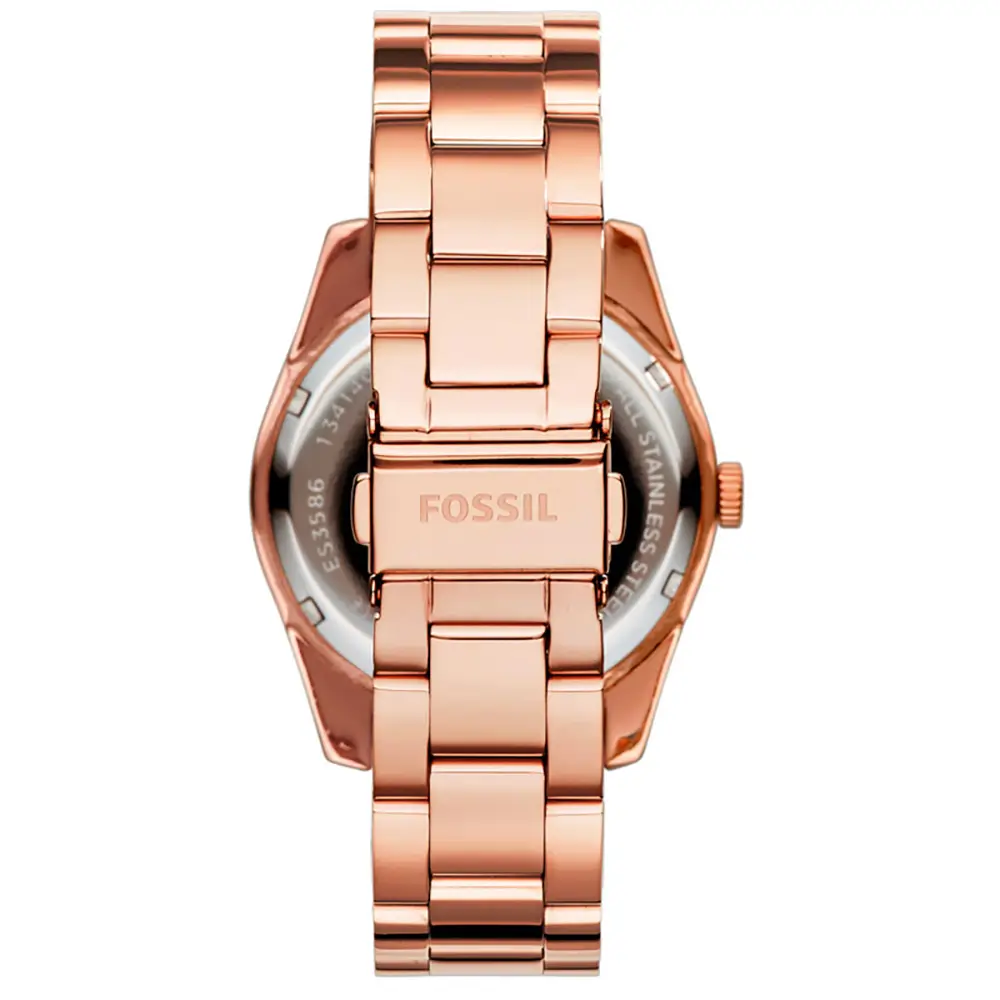 FOSSIL 1341503