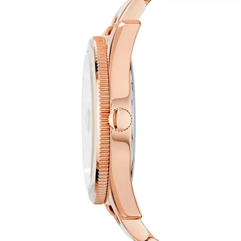 FOSSIL 1341503